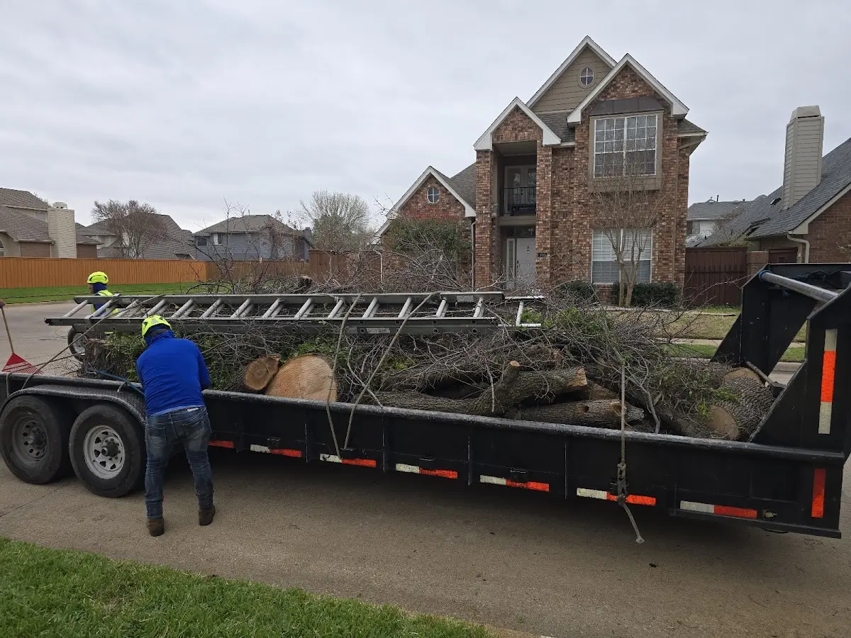 Expert Crown Reduction with proper safety equipment in Woodbury